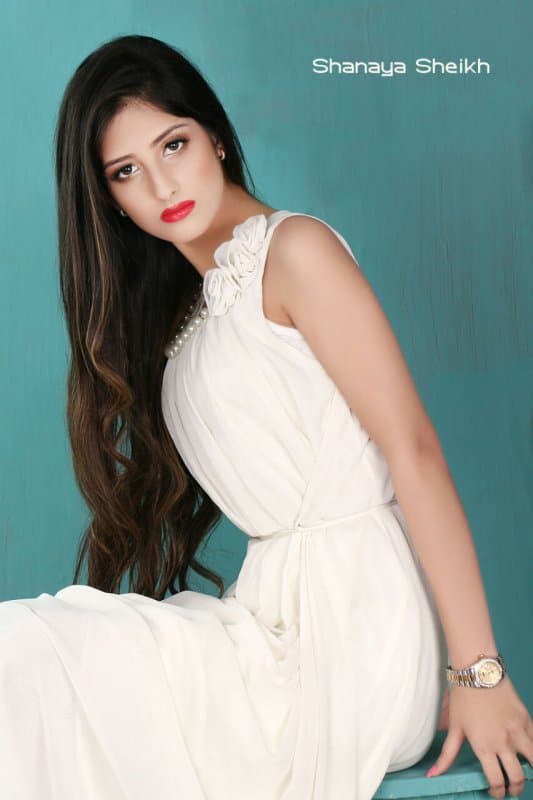 Indian Escorts Dubai - صورة مرافقة 3 في Dubai