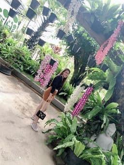 Temp 1747638612682 5fab853d233ad