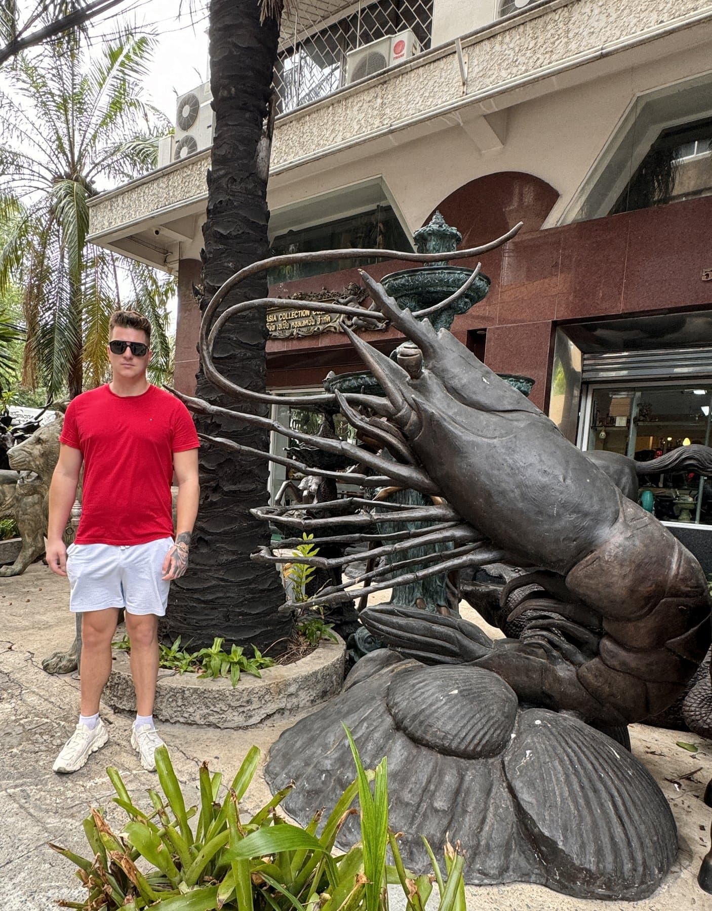 William - escort photo 7 in Dubai