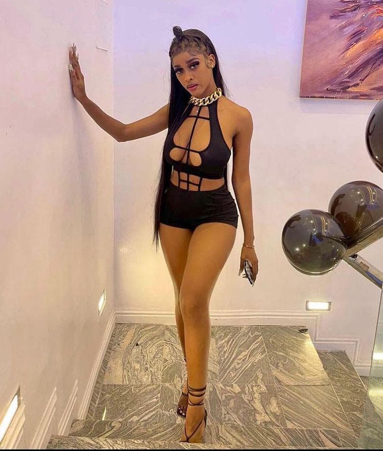 Brownie - صورة مرافقة 1 في Dubai